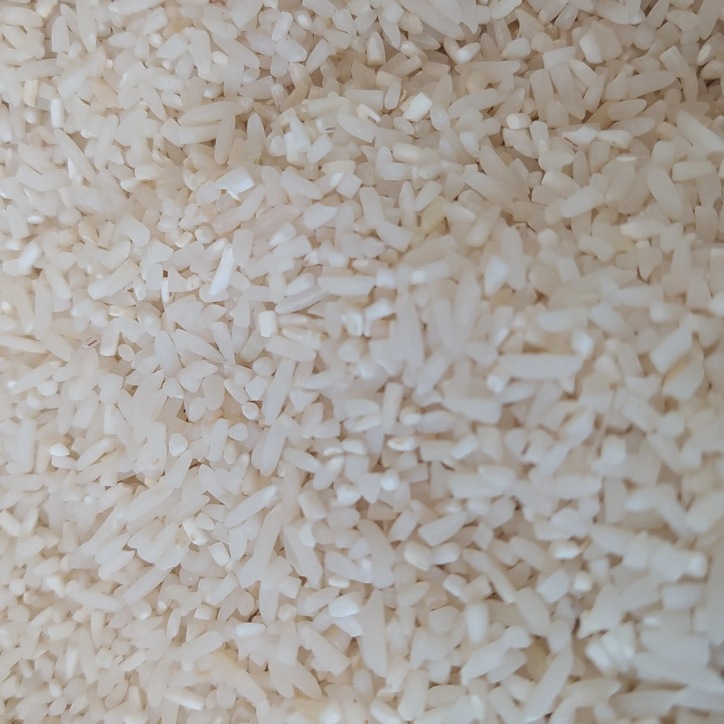 برنج نیم دانه هاشمی درجه یک با پخت عالی محصول 1401