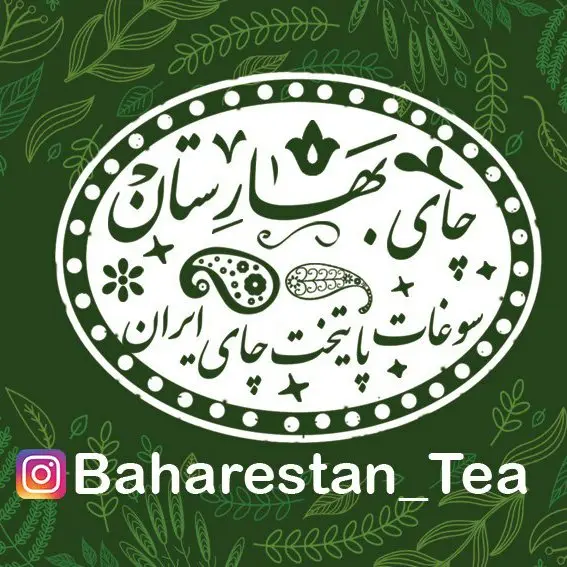 چای ساقه بهاره لاهیجان 1402 (نیم کیلویی 500 گرمی)