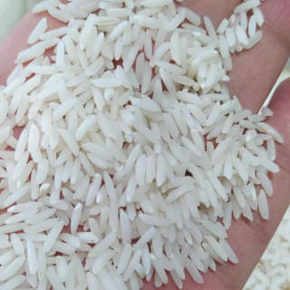 برنج هاشمی10کیلویی درجه یک گیلان ( محصول 1404)